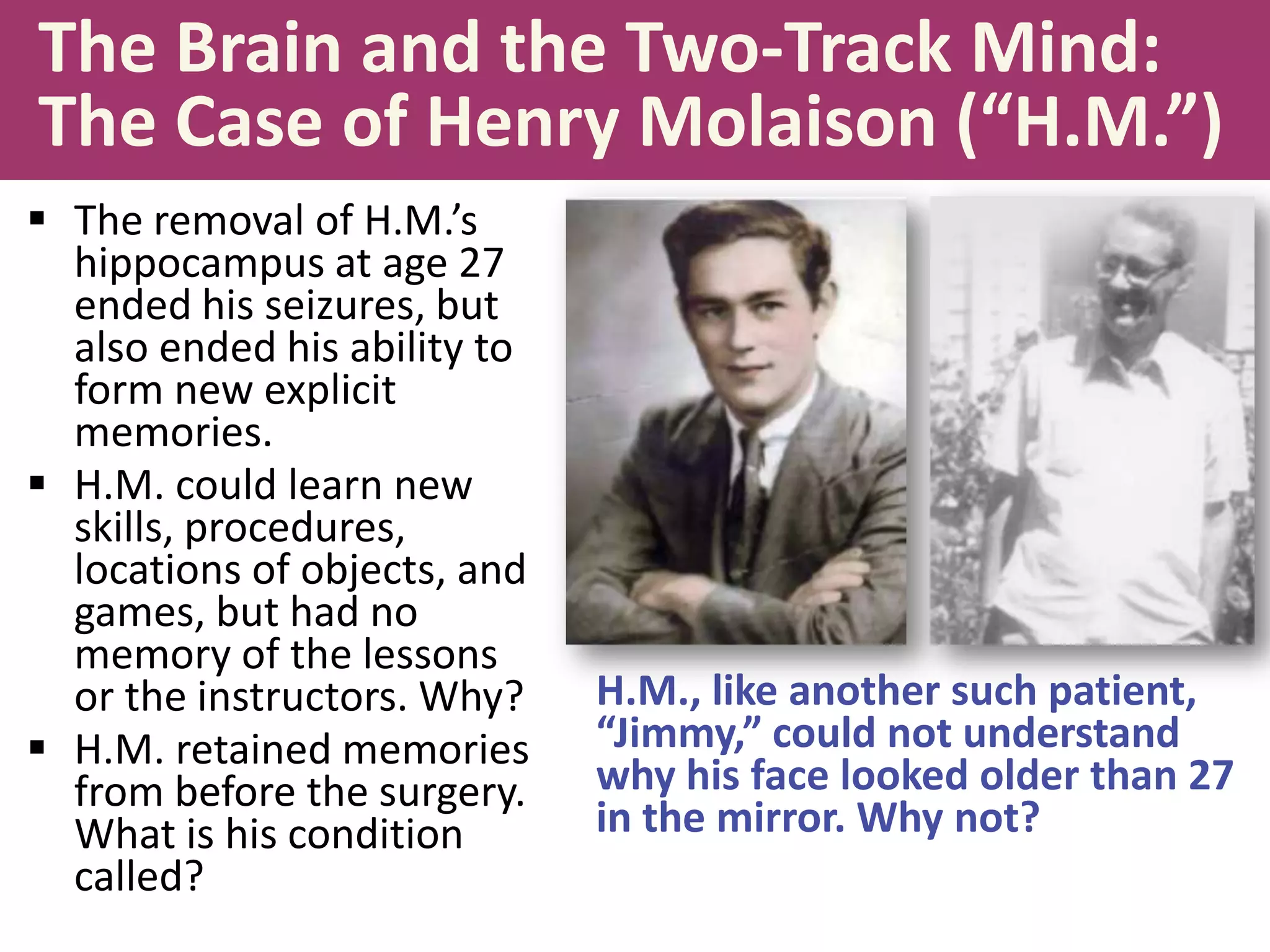The Brain and the Two-Track Mind:
The Case of Henry Molaison (“H.M.”)
 The removal of H.M.’s
hippocampus at age 27
ended his seizures, but
also ended his ability to
form new explicit
memories.
 H.M. could learn new
skills, procedures,
locations of objects, and
games, but had no
memory of the lessons
or the instructors. Why?
 H.M. retained memories
from before the surgery.
What is his condition
called?

H.M., like another such patient,
“Jimmy,” could not understand
why his face looked older than 27
in the mirror. Why not?

 