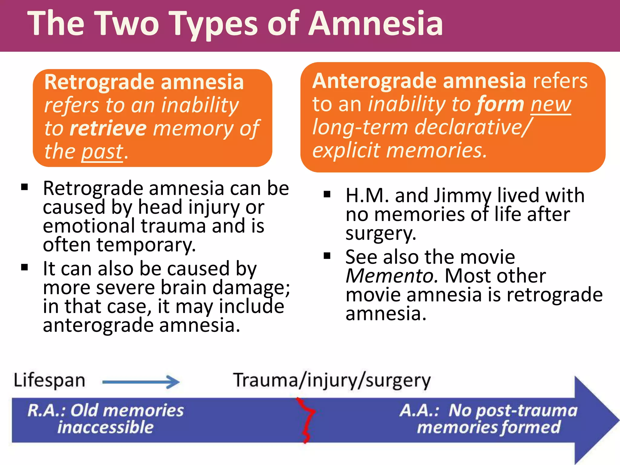 The Two Types of Amnesia
Retrograde amnesia
refers to an inability
to retrieve memory of
the past.
 Retrograde amnesia can be
caused by head injury or
emotional trauma and is
often temporary.
 It can also be caused by
more severe brain damage;
in that case, it may include
anterograde amnesia.

Anterograde amnesia refers
to an inability to form new
long-term declarative/
explicit memories.
 H.M. and Jimmy lived with
no memories of life after
surgery.
 See also the movie
Memento. Most other
movie amnesia is retrograde
amnesia.

 