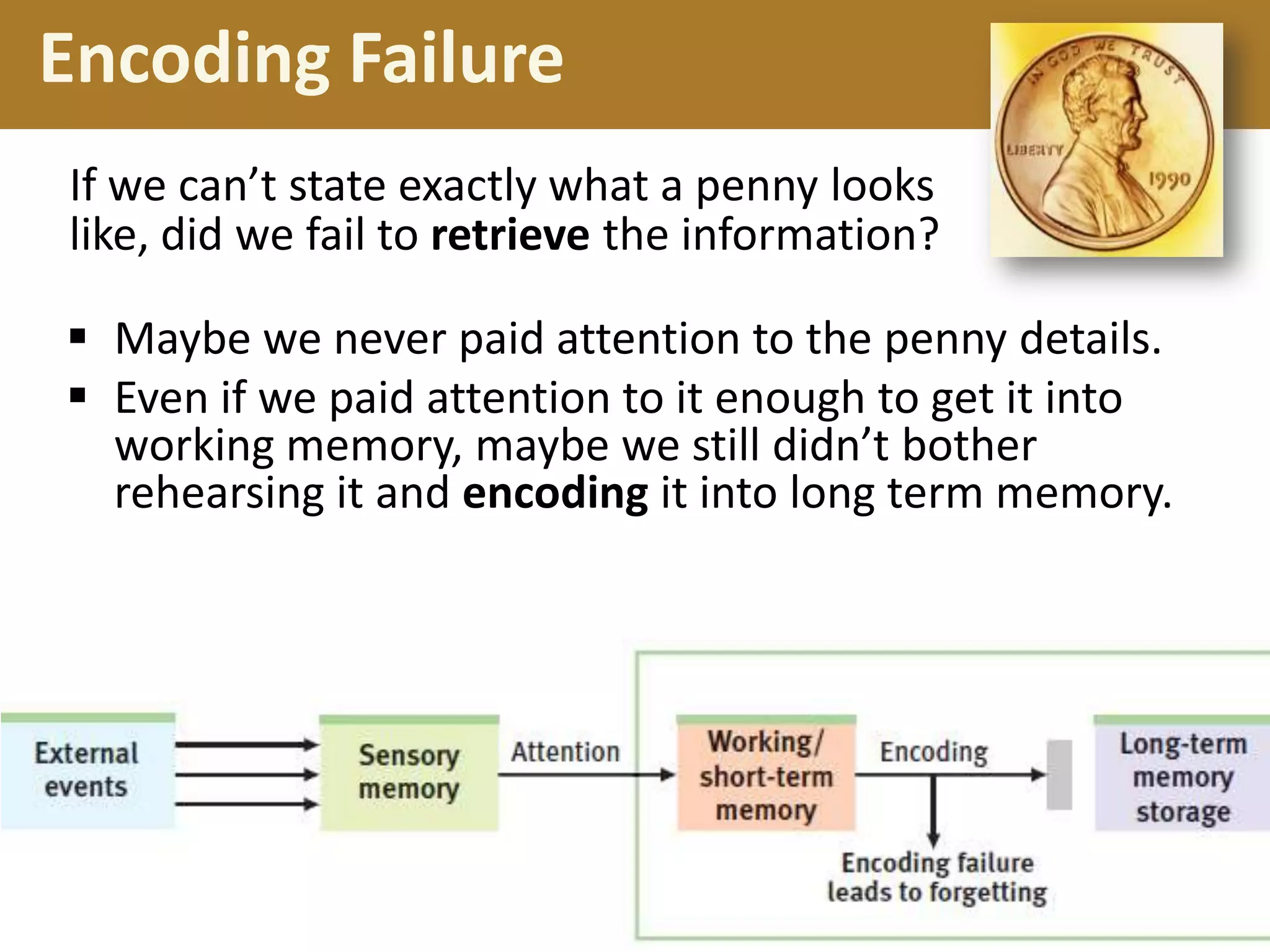 Encoding Failure
If we can’t state exactly what a penny looks
like, did we fail to retrieve the information?
 Maybe we never paid attention to the penny details.
 Even if we paid attention to it enough to get it into
working memory, maybe we still didn’t bother
rehearsing it and encoding it into long term memory.

 