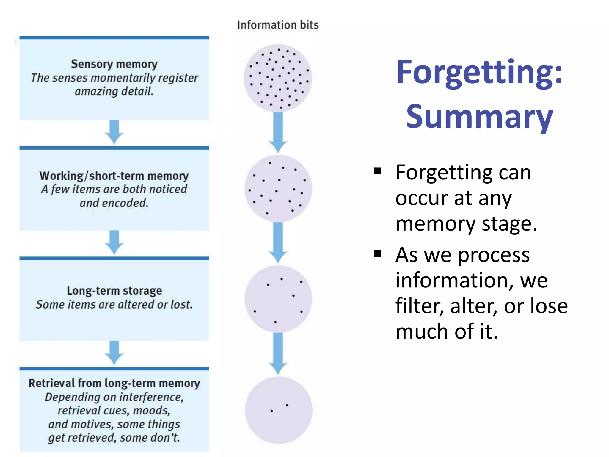 Forgetting:
Summary
 Forgetting can
occur at any
memory stage.
 As we process
information, we
filter, alter, or lose
much of it.

 