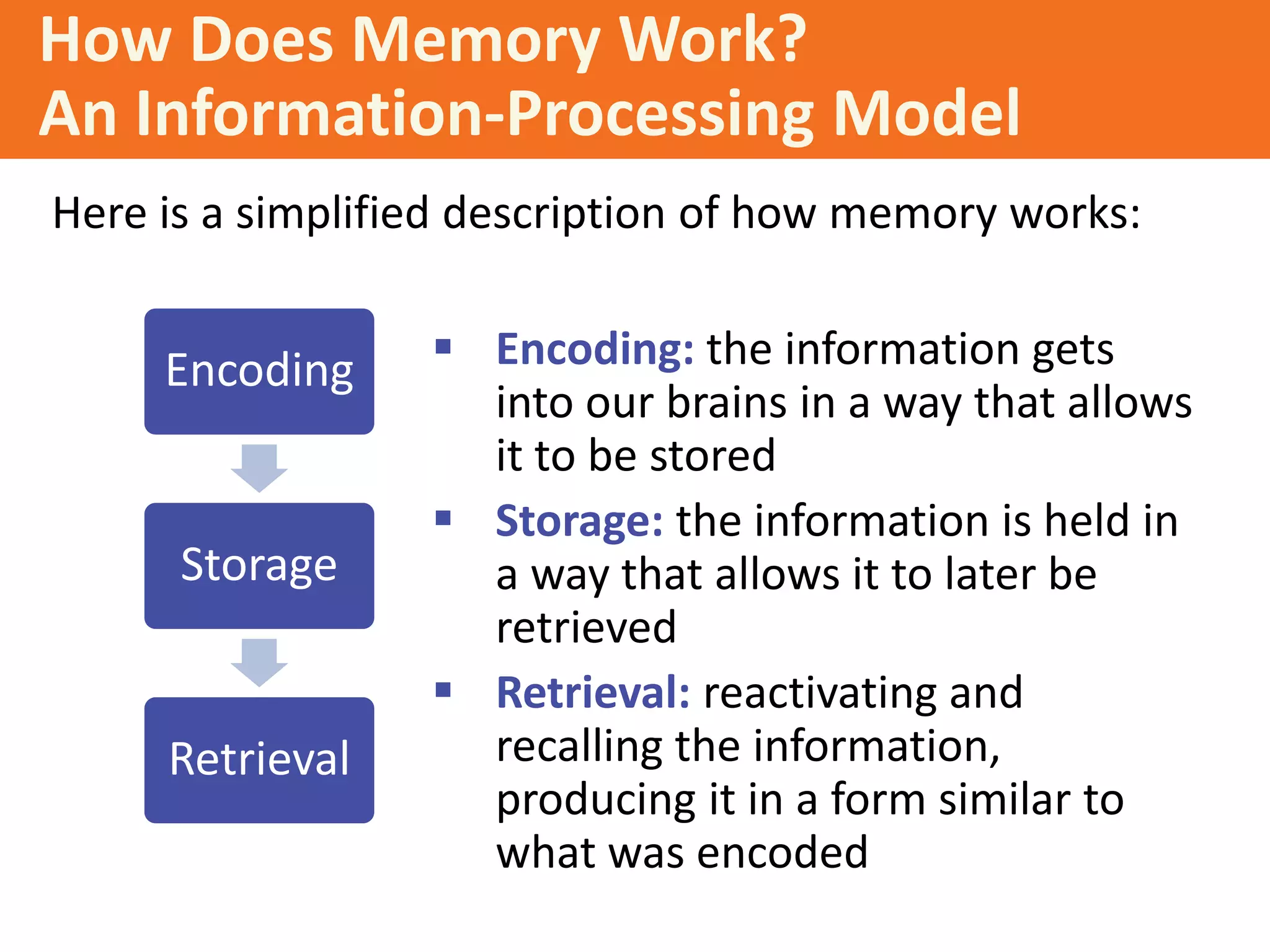 How Does Memory Work?
An Information-Processing Model
Here is a simplified description of how memory works:

Encoding

Storage

Retrieval

 Encoding: the information gets
into our brains in a way that allows
it to be stored
 Storage: the information is held in
a way that allows it to later be
retrieved
 Retrieval: reactivating and
recalling the information,
producing it in a form similar to
what was encoded

 