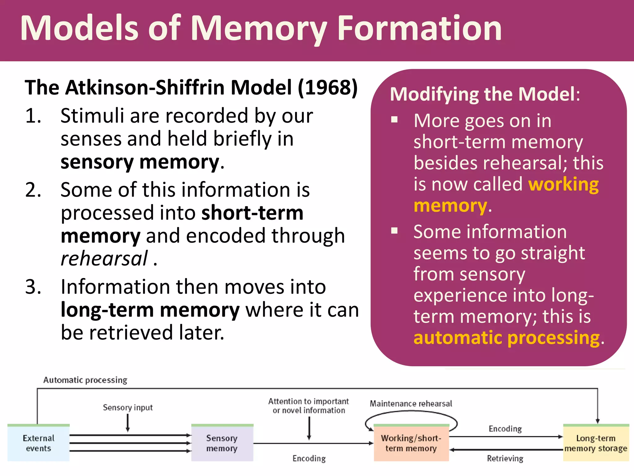 Models of Memory Formation
The Atkinson-Shiffrin Model (1968)
1. Stimuli are recorded by our
senses and held briefly in
sensory memory.
2. Some of this information is
processed into short-term
memory and encoded through
rehearsal .
3. Information then moves into
long-term memory where it can
be retrieved later.

Modifying the Model:
 More goes on in
short-term memory
besides rehearsal; this
is now called working
memory.
 Some information
seems to go straight
from sensory
experience into longterm memory; this is
automatic processing.

 