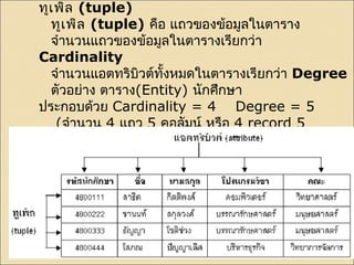 ค่าของข้อมลูในแต่ละแอตทริบิวต์ประกอบกัน เรียกว่า 
ทูเพิล (tuple) 
ทูเพิล (tuple) คือ แถวของข้อมลูในตาราง 
จำานวนแถวของข้อมลูในตารางเรียกว่า 
Cardinality 
จำานวนแอตทริบิวต์ทงั้หมดในตารางเรียกว่า Degree 
ตัวอย่าง ตาราง(Entity) นักศึกษา 
ประกอบด้วย Cardinality = 4 Degree = 5 
(จำานวน 4 แถว 5 คอลัมน์ หรือ 4 record 5 
FieldName) 
 
