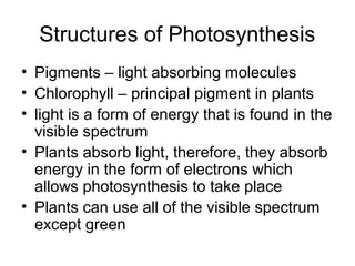 Structures of Photosynthesis 
• Pigments – light absorbing molecules 
• Chlorophyll – principal pigment in plants 
• light is a form of energy that is found in the 
visible spectrum 
• Plants absorb light, therefore, they absorb 
energy in the form of electrons which 
allows photosynthesis to take place 
• Plants can use all of the visible spectrum 
except green 
 