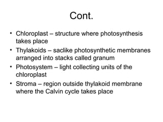 Cont. 
• Chloroplast – structure where photosynthesis 
takes place 
• Thylakoids – saclike photosynthetic membranes 
arranged into stacks called granum 
• Photosystem – light collecting units of the 
chloroplast 
• Stroma – region outside thylakoid membrane 
where the Calvin cycle takes place 
 