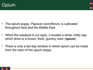 Opium
• The opium poppy, Papaver somniferum, is cultivated
throughout Asia and the Middle East
• When the seedpod is cut open, it exudes a white, milky sap
which dries to a brown, thick, gummy resin (opium)
• There is only a ten-day window in which opium can be made
from the resin of the opium poppy
 