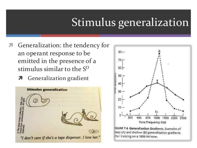 stimulus generalization