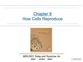 BIOLOGY: Today and Tomorrow, 4e
starr evers starr
Chapter 8
How Cells Reproduce
 