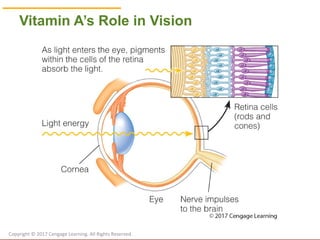 © Cengage Learning 2017
Vitamin A’s Role in Vision
Copyright © 2017 Cengage Learning. All Rights Reserved.
 