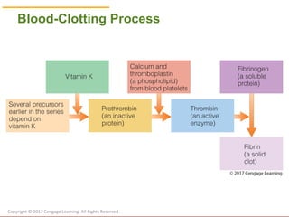 © Cengage Learning 2017
Blood-Clotting Process
Copyright © 2017 Cengage Learning. All Rights Reserved.
 