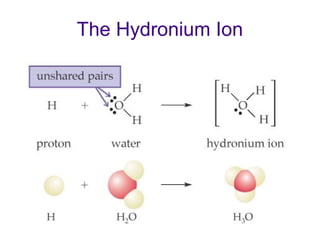 The Hydronium Ion
 