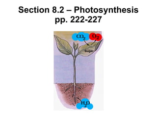Section 8.2 – Photosynthesis pp. 222-227 