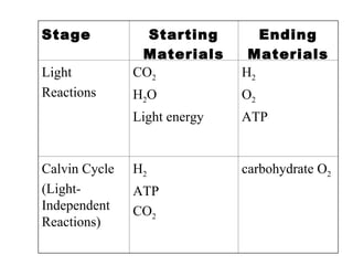 Chapter 8 2 Photosynthesis | PPT