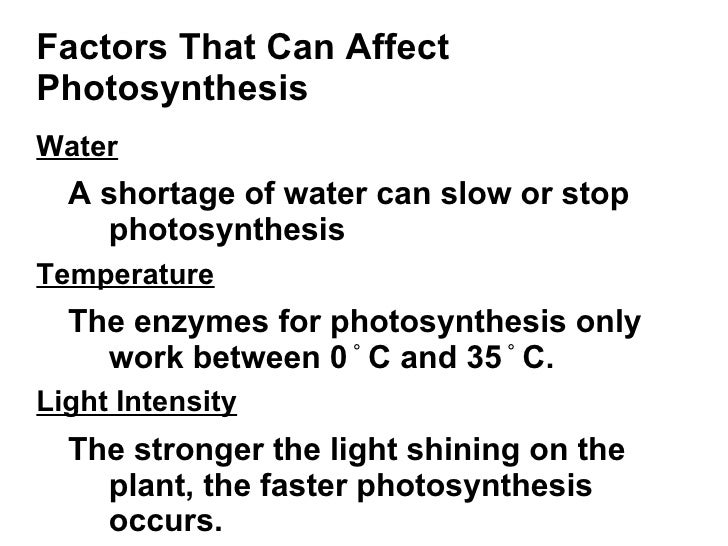 Chapter 8 2 Photosynthesis