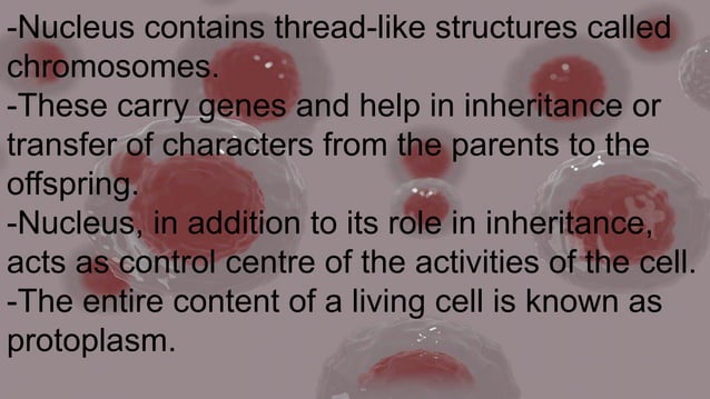 Chapter 8 cells-structure and functions class 8 science | PDF