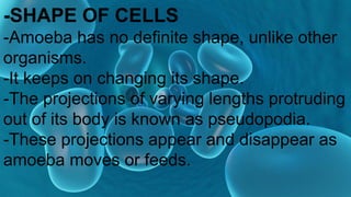 Chapter 8 cells-structure and functions class 8 science | PDF