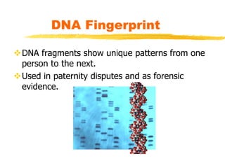 DNA FINGERPRINTING | PPT