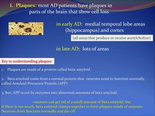 I. Plaques: most AD patients have plaques in
parts of the brain that show cell loss
in early AD: medial temporal lobe areas
(hippocampus) and cortex
in late AD: lots of areas
(all areas that produce or receive acetylcholine)
1. Plaques are made of a protein called beta-amyloid
2. Beta amyloid come from a normal protein that neurons need to function normally,
called Amyloid Precursor Protein (APP)
3. but, APP is cut by enzymes into abnormal amounts of beta amyloid.
-neurons can get rid of a small amount of beta amyloid, but
if there is too much, beta amyloid clumps together to form plaques inside of neurons.
Neurons don’t function normally and die-off
Key to understanding plaques:
 