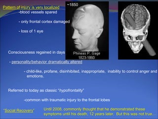 ~1850
Pattern of injury is very localized
-blood vessels spared
- only frontal cortex damaged
- loss of 1 eye
Consciousness regained in days
- personality/behavior dramatically altered
- child-like, profane, disinhibited, inappropriate, inability to control anger and
emotions.
Referred to today as classic “hypofrontality”
-common with traumatic injury to the frontal lobes
“Social Recovery” Until 2008, commonly thought that he demonstrated these
symptoms until his death, 12 years later. But this was not true…
 