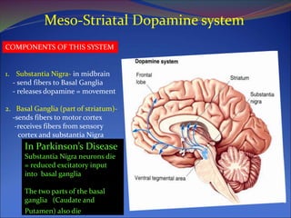 Meso-Striatal Dopamine system
COMPONENTS OF THIS SYSTEM
1. Substantia Nigra- in midbrain
- send fibers to Basal Ganglia
- releases dopamine = movement
2. Basal Ganglia (part of striatum)-
-sends fibers to motor cortex
-receives fibers from sensory
cortex and substantia Nigra
In Parkinson’s Disease
Substantia Nigra neurons die
= reduced excitatory input
into basal ganglia
The two parts of the basal
ganglia (Caudate and
Putamen) also die
 
