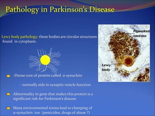 Pathology in Parkinson’s Disease
Lewy body pathology: these bodies are circular structures
found in cytoplasm.
-Dense core of protein called α-synuclein
- normally aids in synaptic vesicle function
Abnormality in gene that makes this protein is a
significant risk for Parkinson’s disease
Many environmental toxins lead to clumping of
α-synuclein too (pesticides, drugs of abuse ?)
 