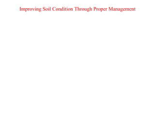 Improving Soil Condition Through Proper Management
 