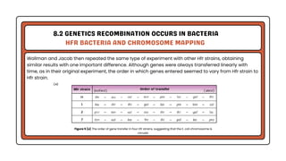Genetic Analysis and Mapping in Bacteria and Bacteriophages | PDF