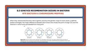 Genetic Analysis and Mapping in Bacteria and Bacteriophages | PDF