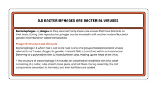 Genetic Analysis and Mapping in Bacteria and Bacteriophages | PDF