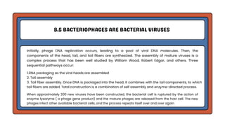 Genetic Analysis and Mapping in Bacteria and Bacteriophages | PDF