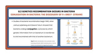 Genetic Analysis and Mapping in Bacteria and Bacteriophages | PDF