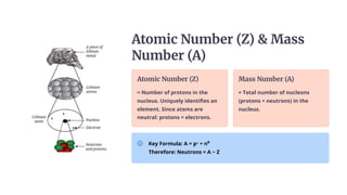 Atomic Number (Z) & Mass
Number (A)
Atomic Number (Z)
= Number of protons in the
nucleus. Uniquely identifies an
element. Since atoms are
neutral: protons = electrons.
Mass Number (A)
= Total number of nucleons
(protons + neutrons) in the
nucleus.
Key Formula: A = p⁺ + n⁰
Therefore: Neutrons = A − Z
 