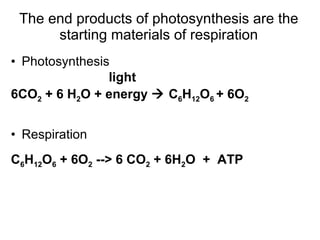 The end products of photosynthesis are the starting materials of respiration Photosynthesis   light 6CO 2  + 6 H 2 O + energy    C 6 H 12 O 6  + 6O 2 Respiration C 6 H 12 O 6  + 6O 2  --> 6 CO 2  + 6H 2 O  +   ATP 