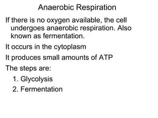 Anaerobic Respiration If there is no oxygen available, the cell undergoes anaerobic respiration. Also known as fermentation. It occurs in the cytoplasm It produces small amounts of ATP The steps are: 1. Glycolysis 2. Fermentation 