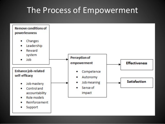 Risks Related To Employee Empowerment Chapter 8 & 9: Empowerment and Participation & Employee Attitudes and…