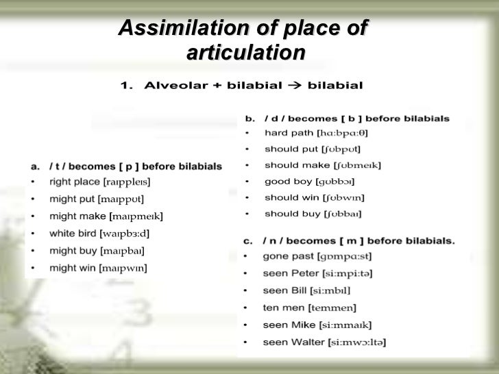 phonetics b p connected 8 of Chapter speech aspect phonetics b p connected 8 of Chapter speech aspect