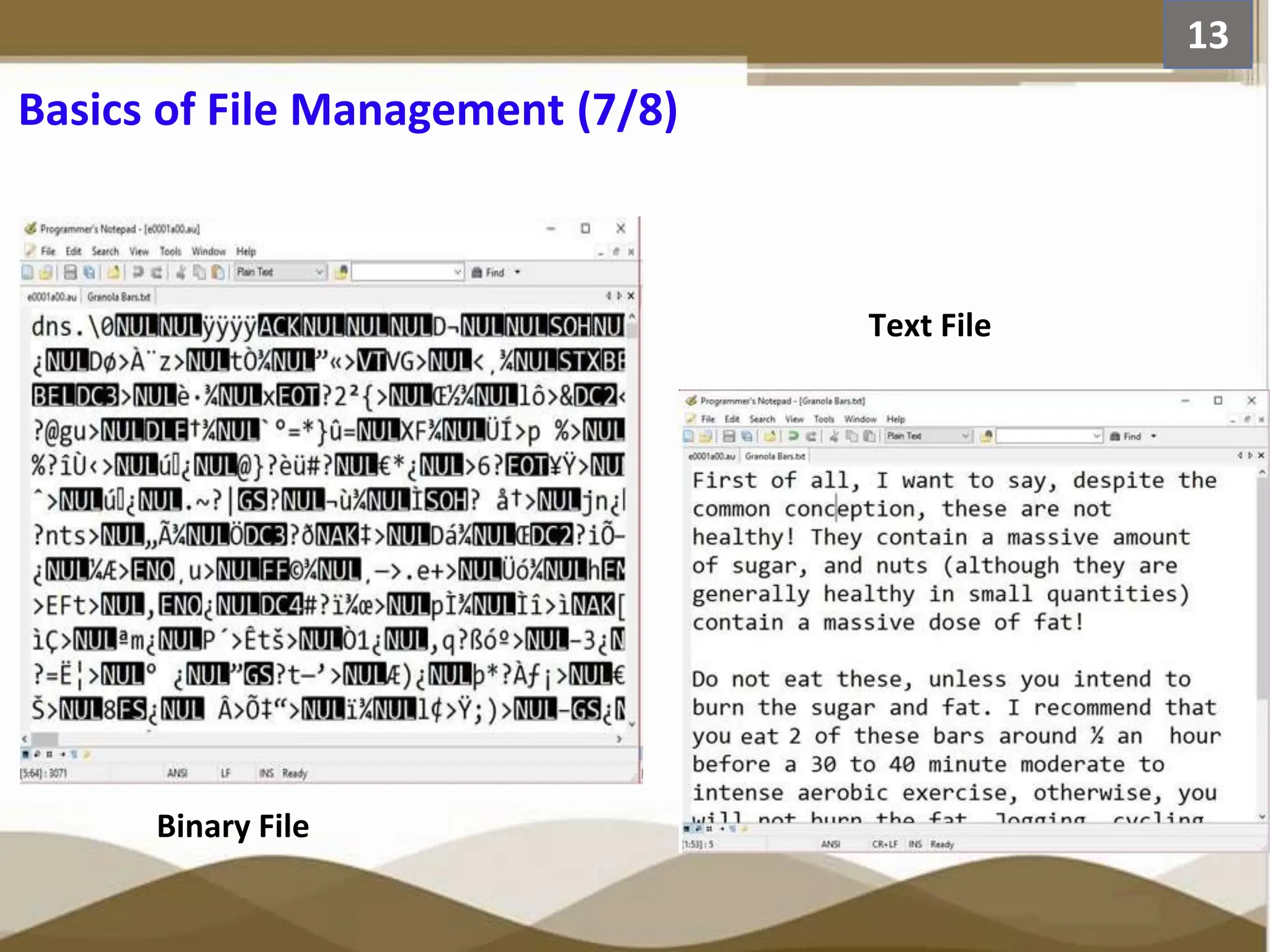 Basics of File Management (7/8) 13 Text File Binary File 