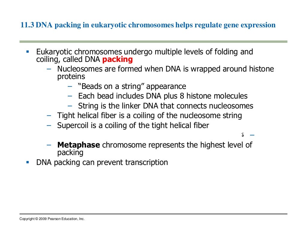 Chapter 8: Genetics [compatibility mode]