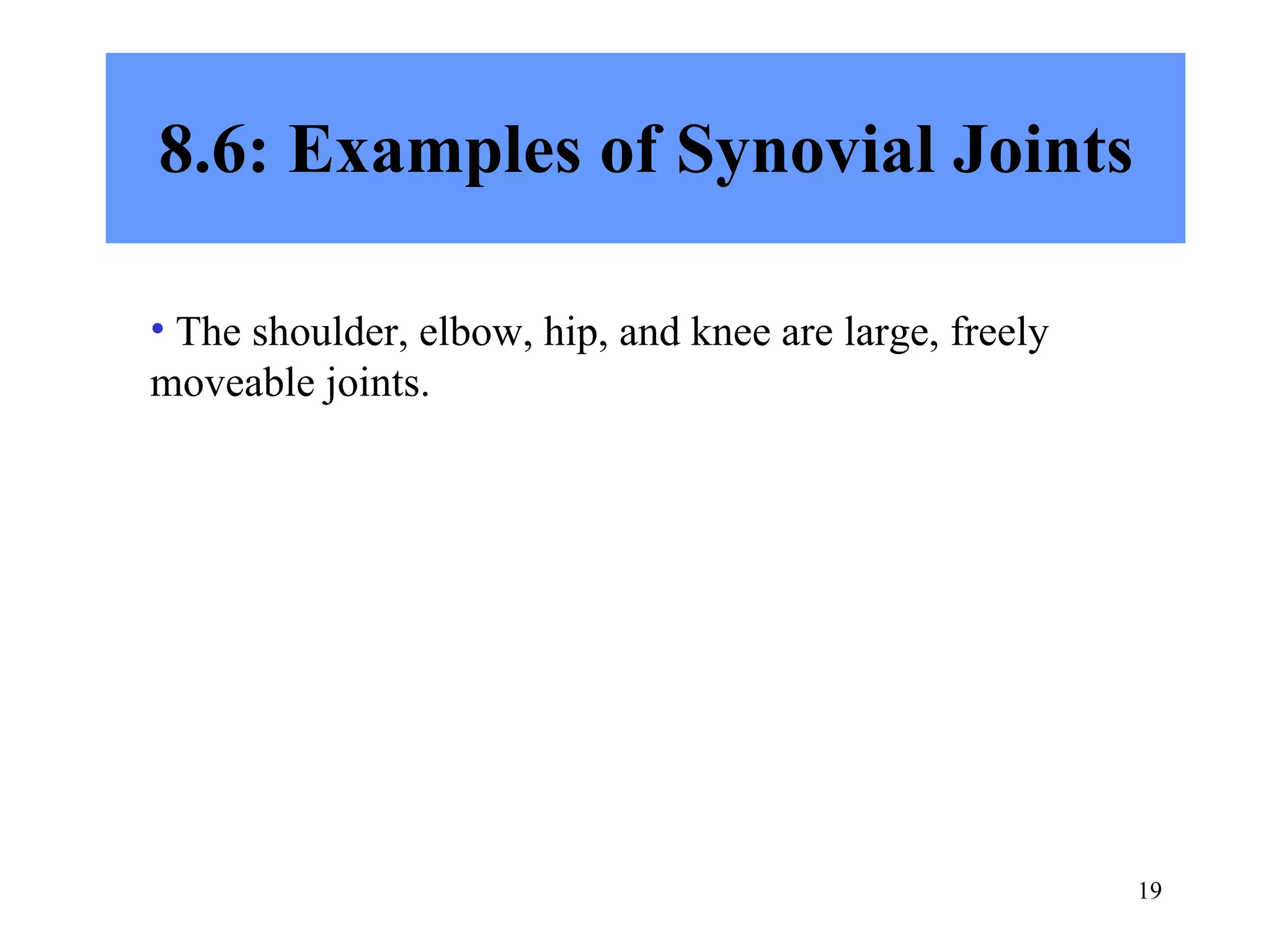 8.6: Examples of Synovial Joints The shoulder, elbow, hip, and knee are large, freely moveable joints. 