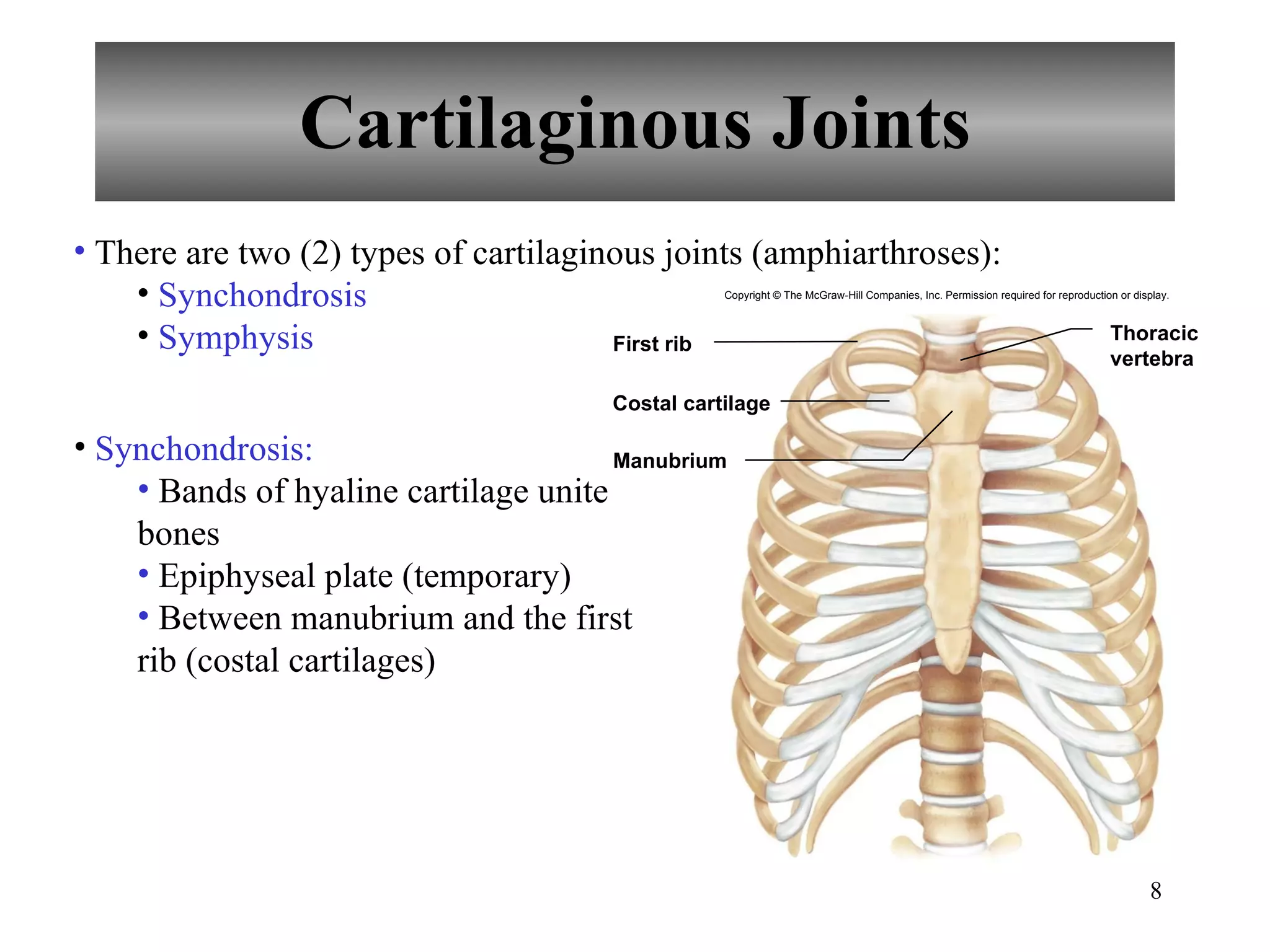 Cartilaginous Joints There are two (2) types of cartilaginous joints (amphiarthroses): Synchondrosis Symphysis Synchondrosis: Bands of hyaline cartilage unite bones Epiphyseal plate (temporary) Between manubrium and the first rib (costal cartilages) Copyright © The McGraw-Hill Companies, Inc. Permission required for reproduction or display. Thoracic vertebra Costal cartilage Manubrium First rib 