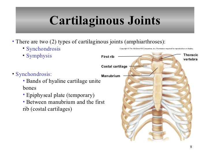 Chapter 8 Joints of the Skeletal System