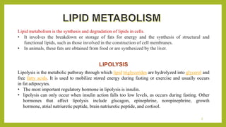 Fresh Look at Lipid Metabolism