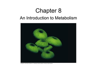 Chapter 8
An Introduction to Metabolism
 