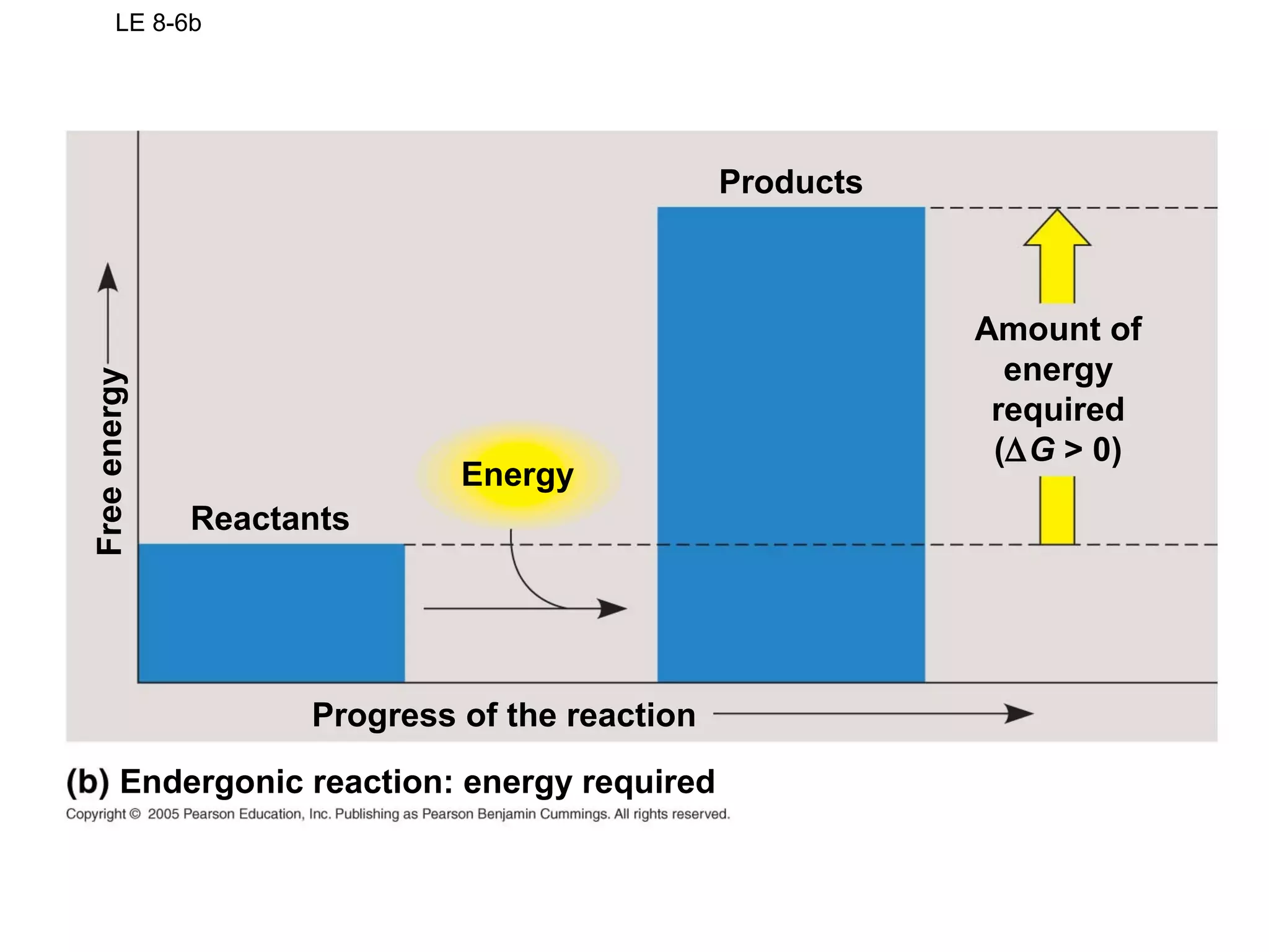 LE 8-6b
Reactants
Energy
Products
Progress of the reaction
Amount of
energy
required
(∆G > 0)
Freeenergy
Endergonic reaction: energy required
 