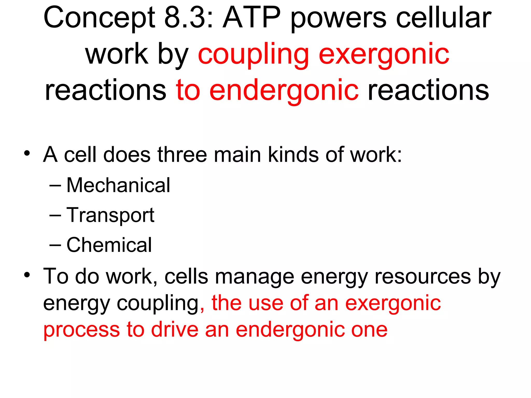 Concept 8.3: ATP powers cellular
work by coupling exergonic
reactions to endergonic reactions
• A cell does three main kinds of work:
– Mechanical
– Transport
– Chemical
• To do work, cells manage energy resources by
energy coupling, the use of an exergonic
process to drive an endergonic one
 