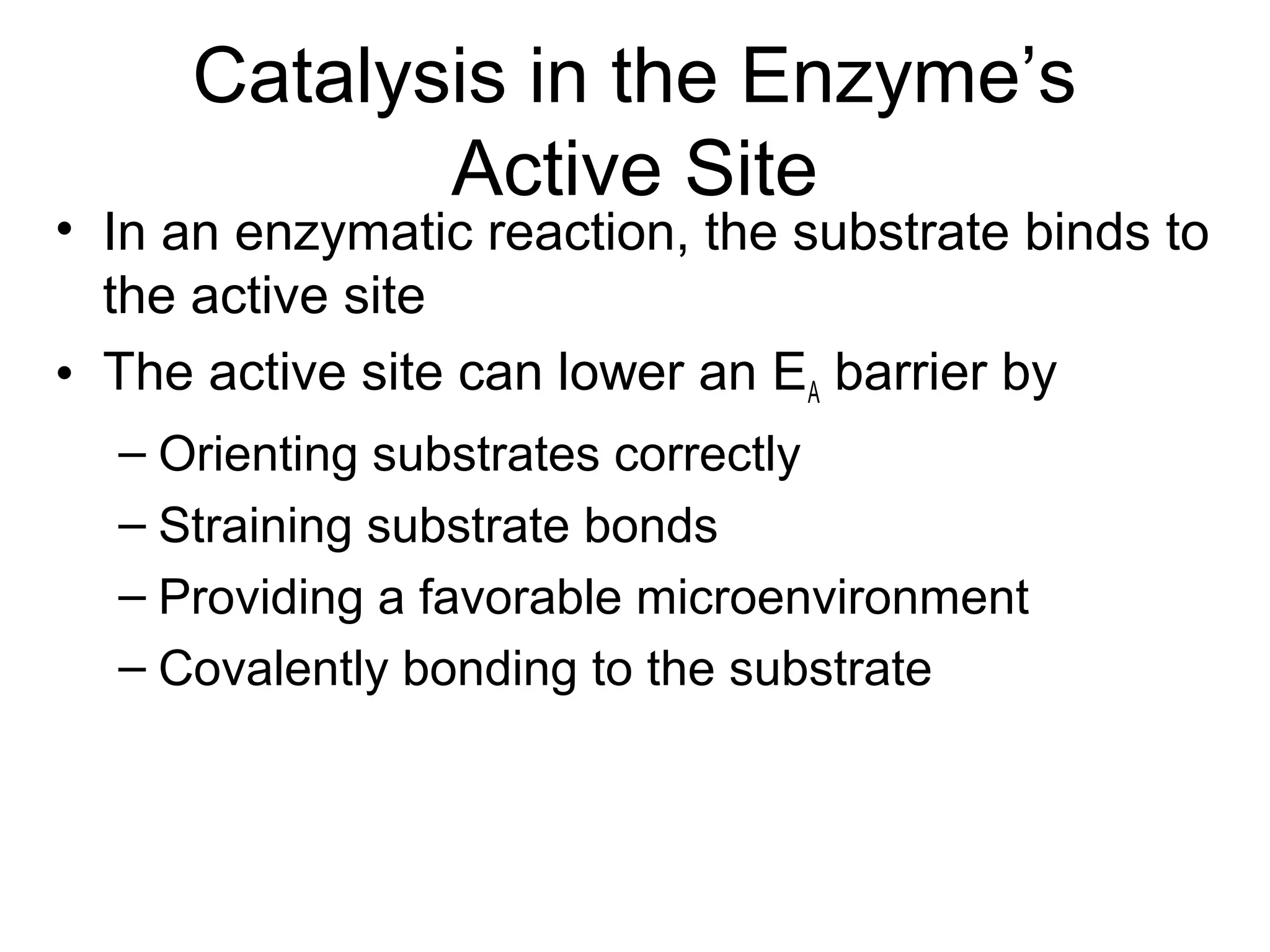 Catalysis in the Enzyme’s
Active Site
• In an enzymatic reaction, the substrate binds to
the active site
• The active site can lower an EA barrier by
– Orienting substrates correctly
– Straining substrate bonds
– Providing a favorable microenvironment
– Covalently bonding to the substrate
 