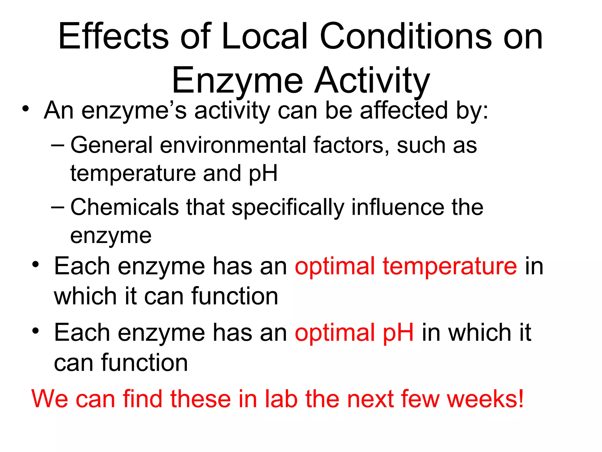 Effects of Local Conditions on
Enzyme Activity
• An enzyme’s activity can be affected by:
– General environmental factors, such as
temperature and pH
– Chemicals that specifically influence the
enzyme
• Each enzyme has an optimal temperature in
which it can function
• Each enzyme has an optimal pH in which it
can function
We can find these in lab the next few weeks!
 