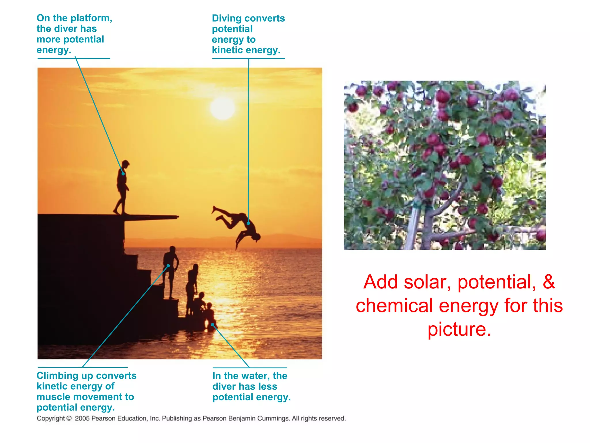 On the platform,
the diver has
more potential
energy.
Diving converts
potential
energy to
kinetic energy.
Climbing up converts
kinetic energy of
muscle movement to
potential energy.
In the water, the
diver has less
potential energy.
Add solar, potential, &
chemical energy for this
picture.
 