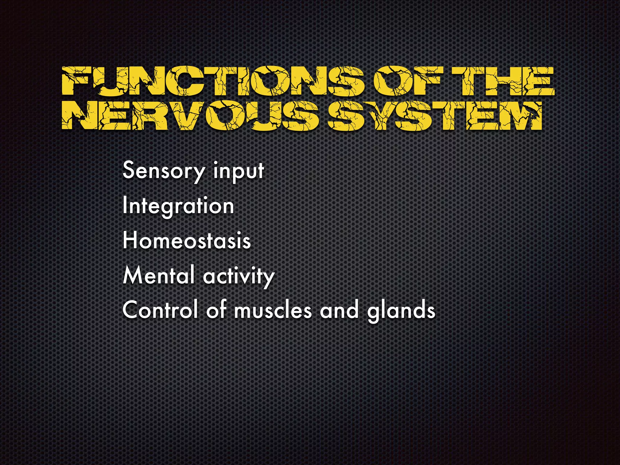 Sensory input
Integration
Homeostasis
Mental activity
Control of muscles and glands
Functions of the
Nervous System
 