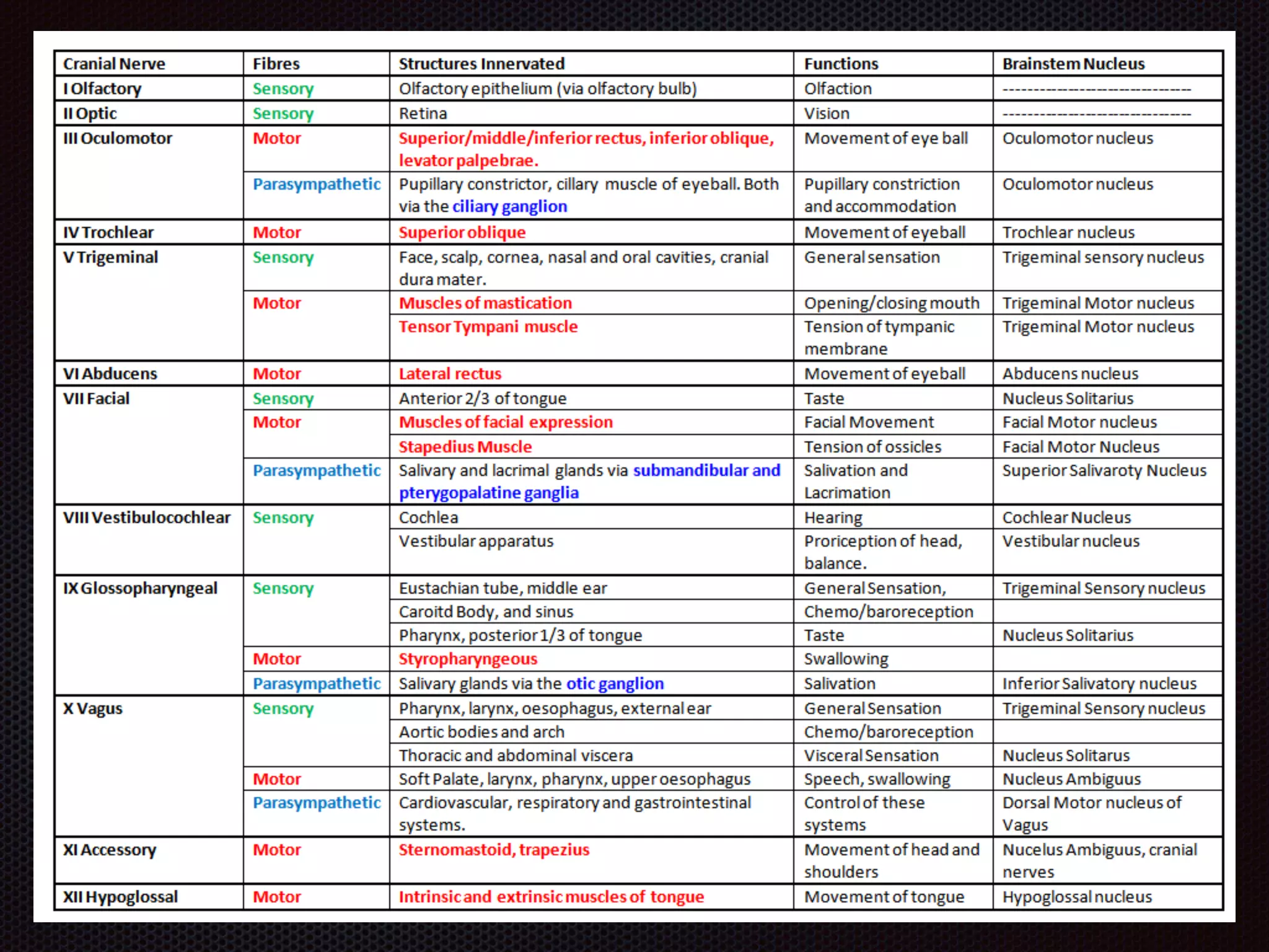 Chapter 8  nervous system